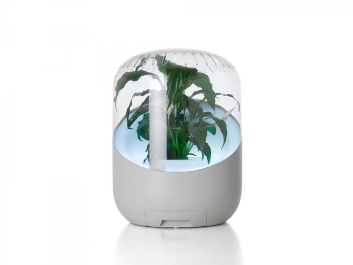 Mathieu Lehanneur Design